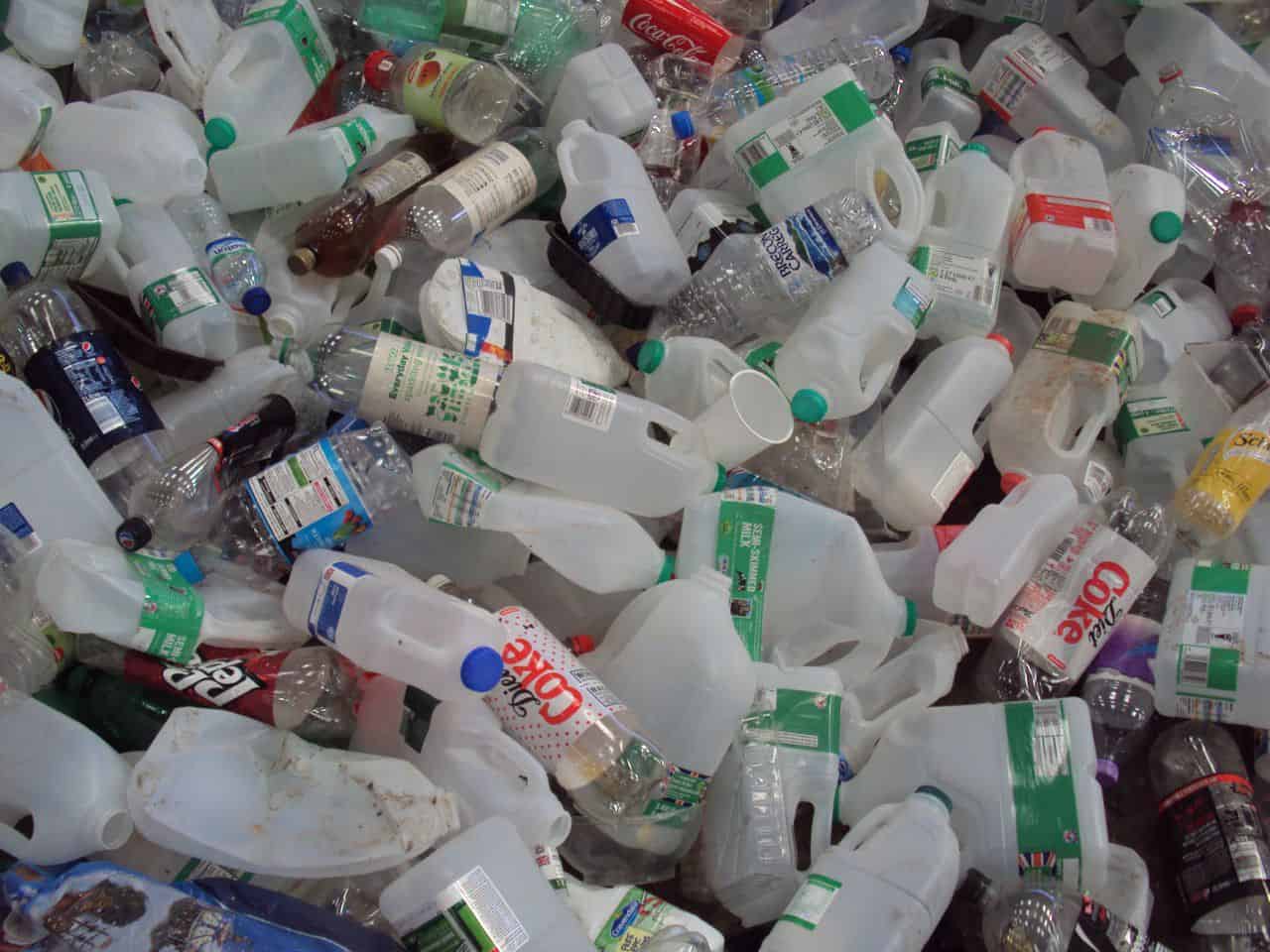 Plastic Bottle Recycling