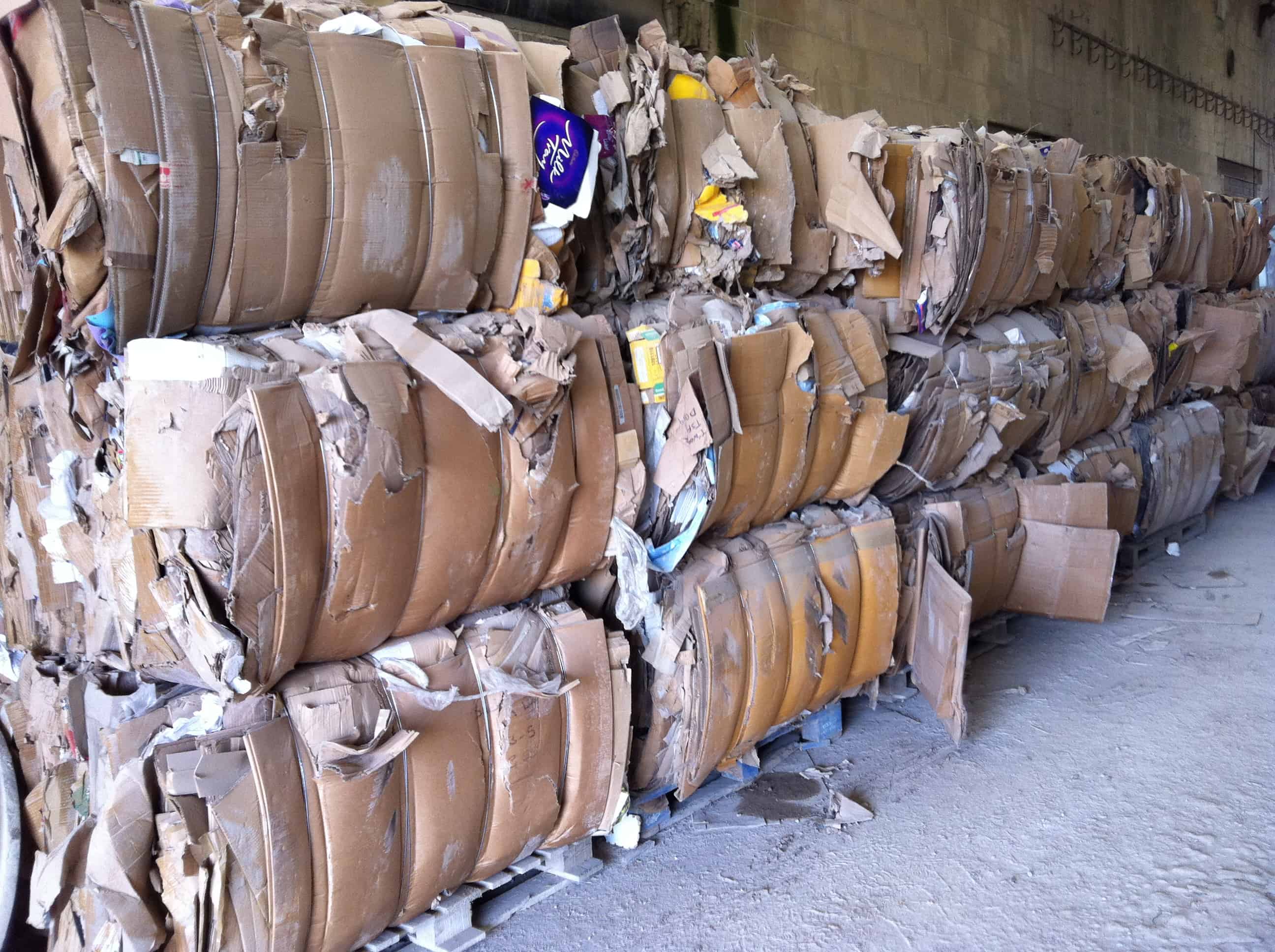 Cardboard Recycling Bales