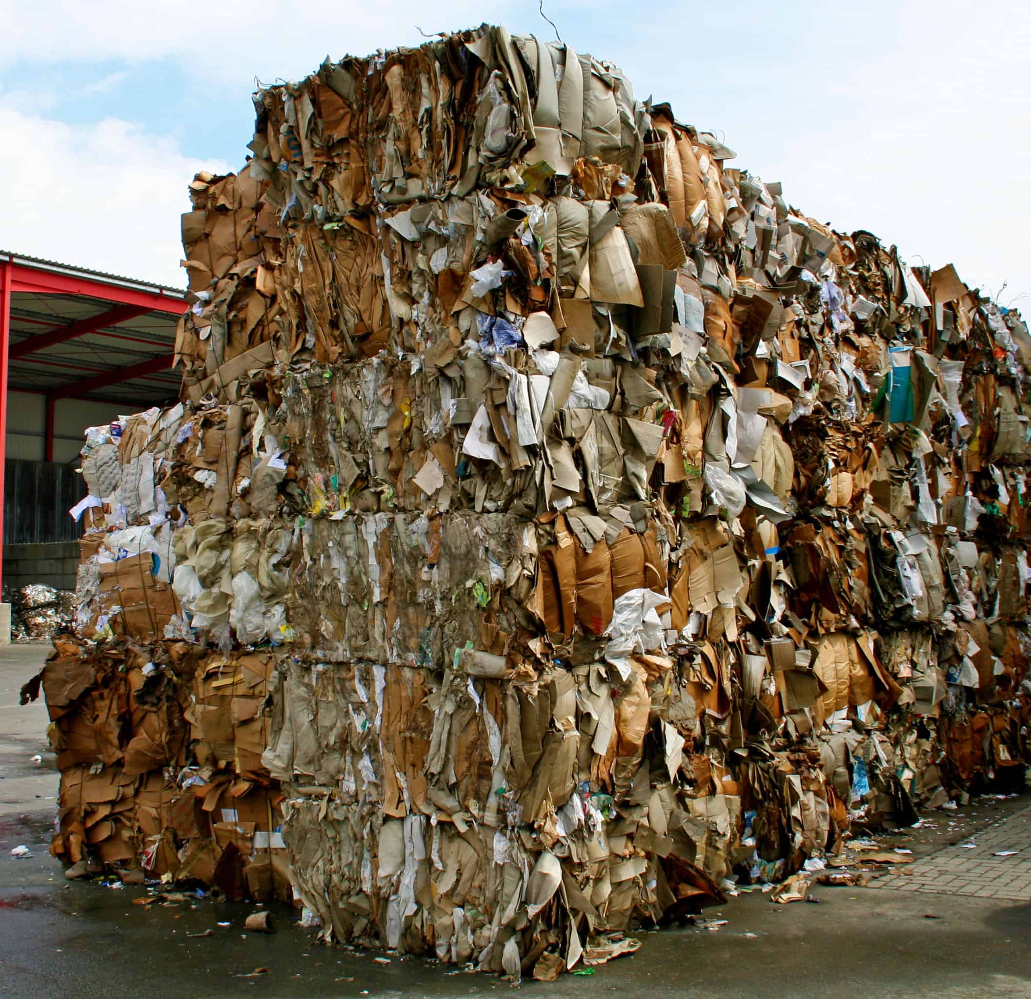 Cardboard Bales