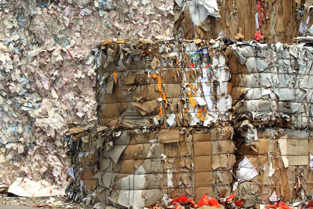cardboard waste birmingham