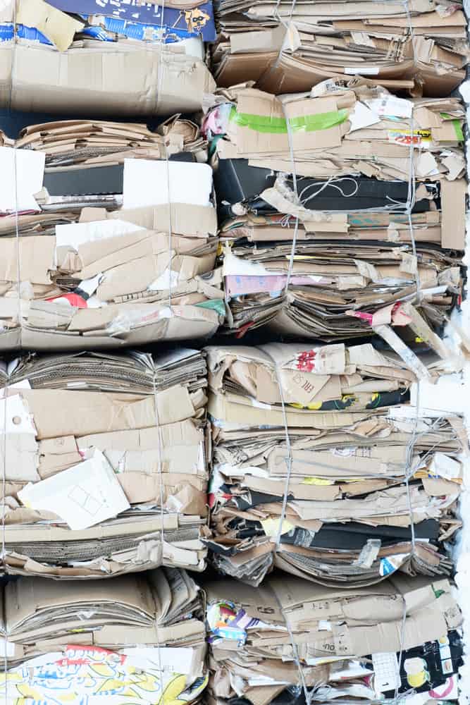 cardboard bales northampton