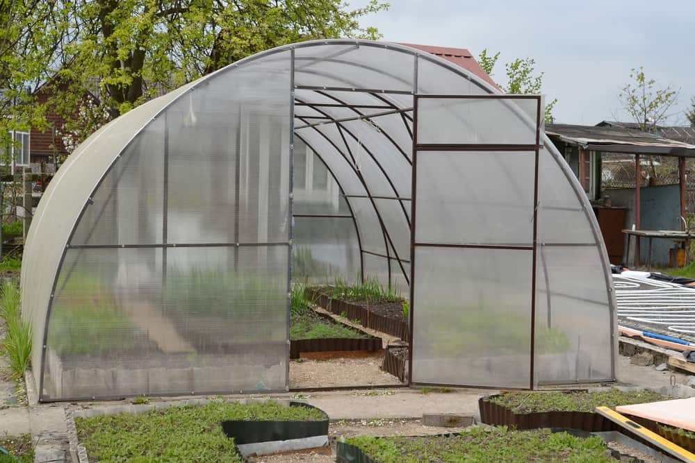 Polycarbonate Greenhouse