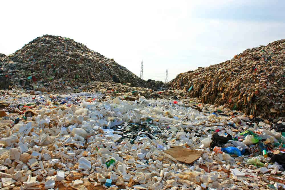 What Are In Landfills