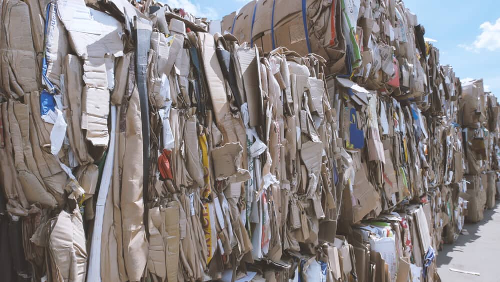 cardboard bales swansea