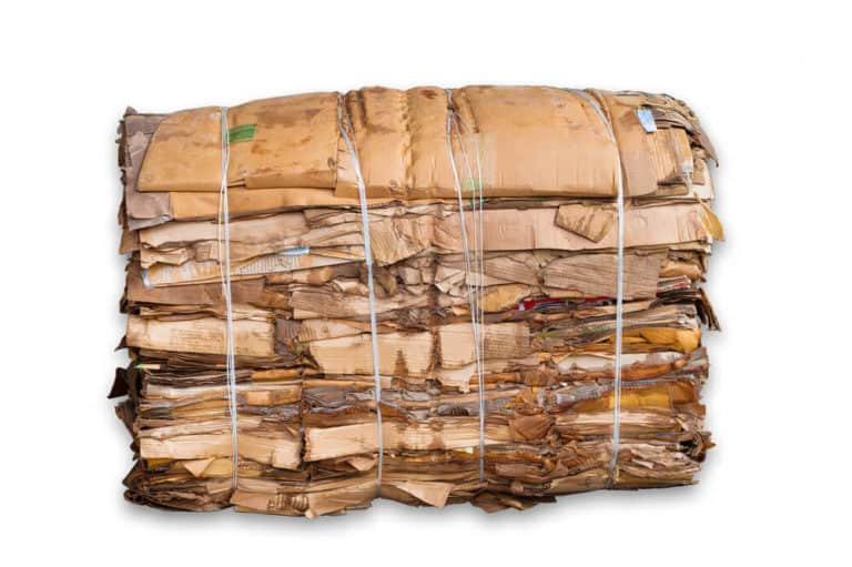 Cardboard Recycling Derby Business Collections Plastic Expert