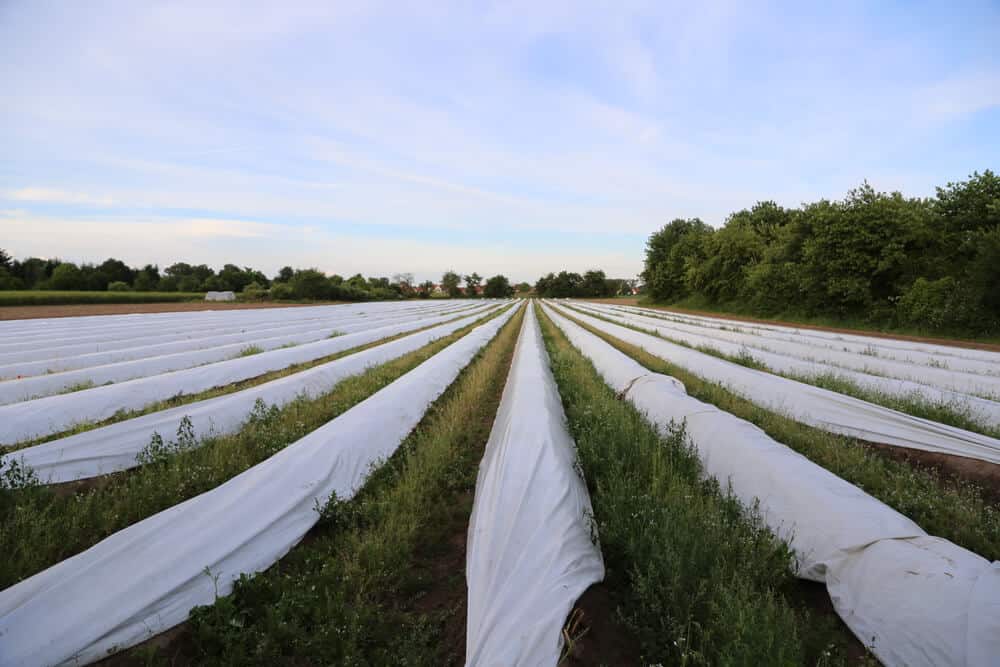 How to dispose of farm plastic