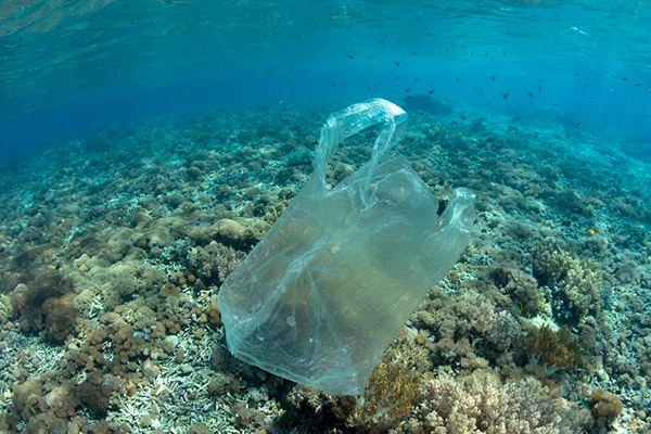 ocean plastic and climate change