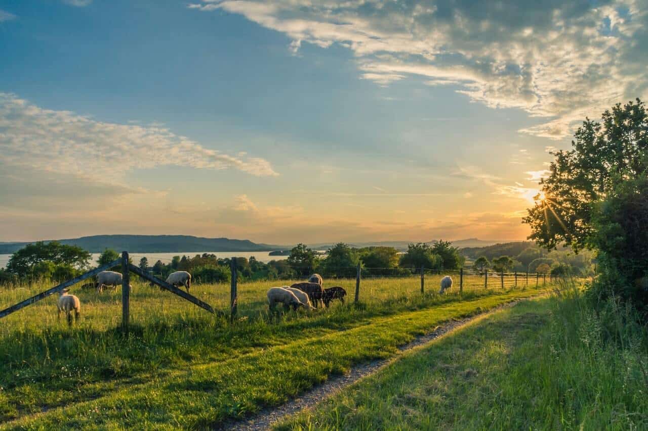 get rid of farm plastic