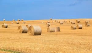 examples of farm waste