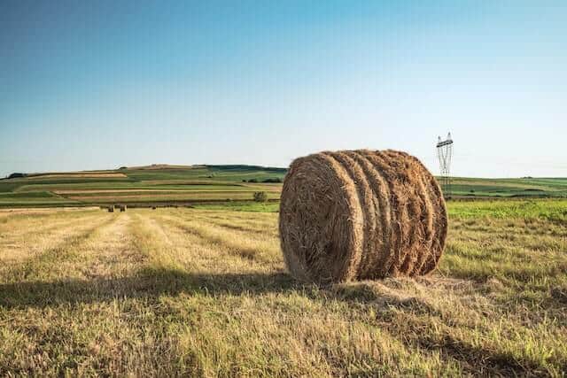 why are bales wrapped in plastic