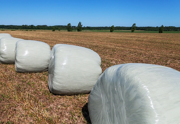 silage wrap bale