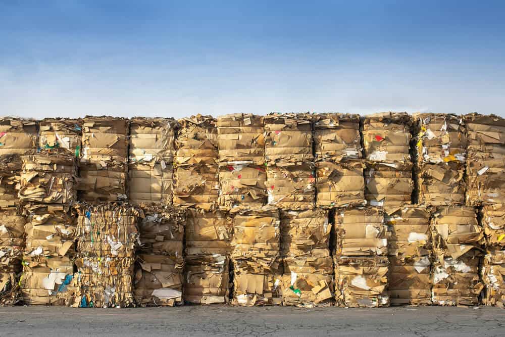 cardboard waste recycling cambridge