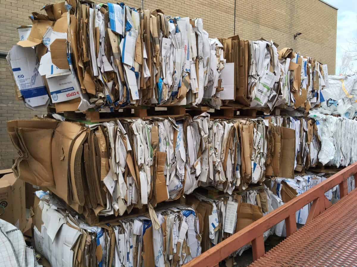 Plastic Recycling Essex Flexible Collections Plastic Expert