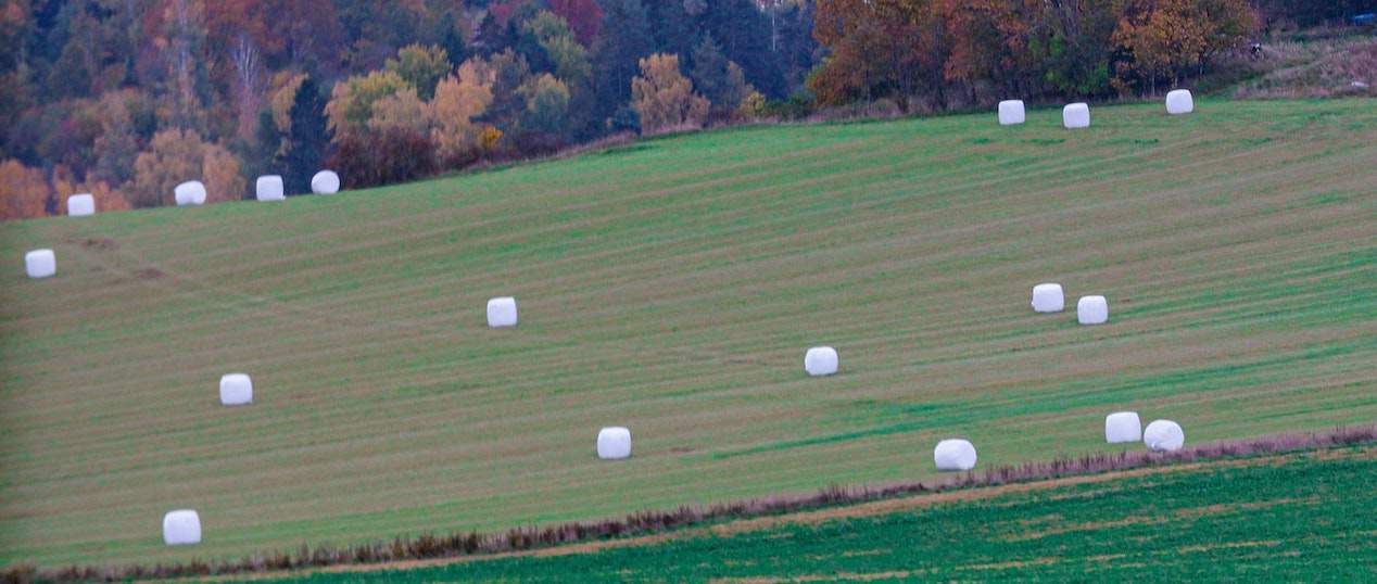 farmers recycle silage bales